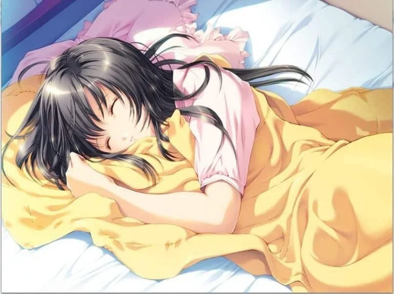 媚肉之香|汉化硬盘版+番外攻略下载|1.56G【PC游戏AVG】