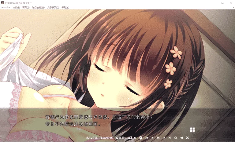 扔掉H书之后兄长情况有异（妹扔书）|汉化硬盘版下载|2.52G【PC游戏AVG】